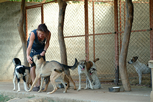 Lise fra Costa Rica og nogle af de hunde, som hun hjælper