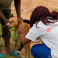 World Rabies Day ved GARC - Dyrlæger uden Grænser