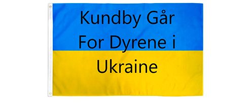 Gåtur i Ukraine